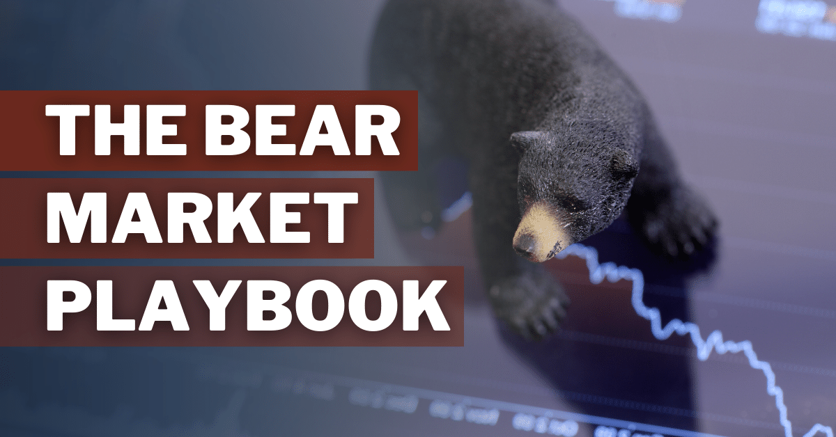 The Bear Market Playbook